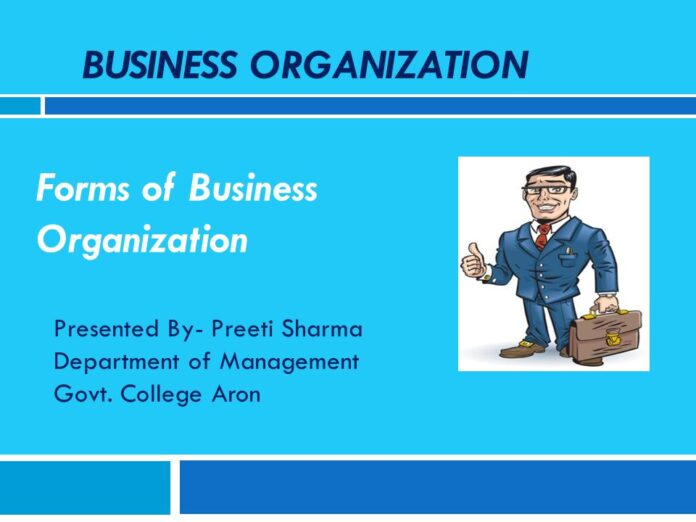 BRAOU Business Organisation 110 PPT